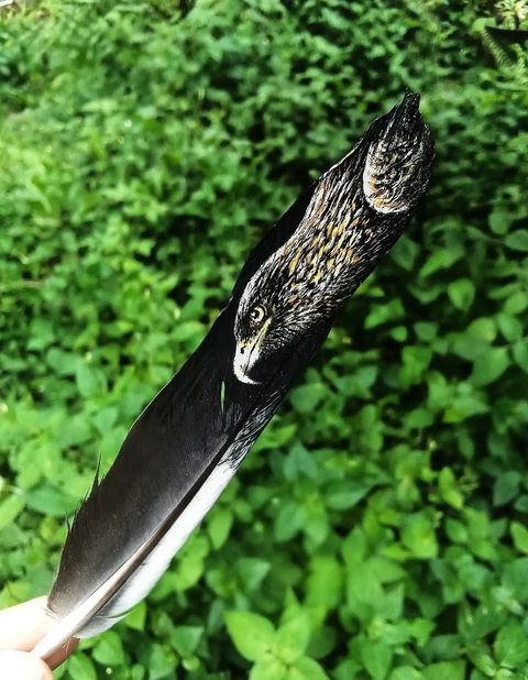 A sharp-eyed bird of prey painted along a natural feather