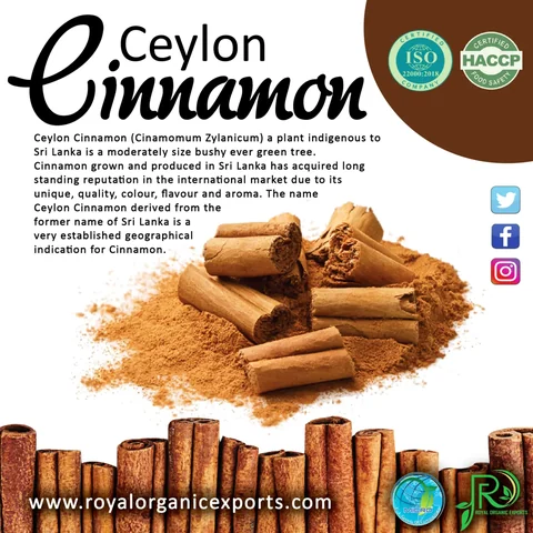 Ceylon cinnamon information artwork for Royal Organic Exports